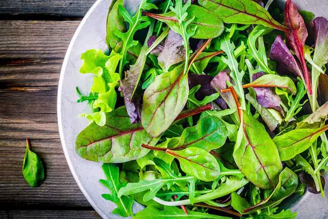 Best Vegetable Greens For Your Health