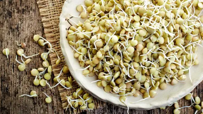 The Benefits of Sprouted Seeds and Microgreens